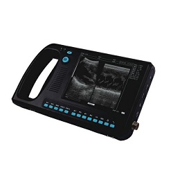 portable 2D b/w diagnostic ultrasound machine CCB-3000