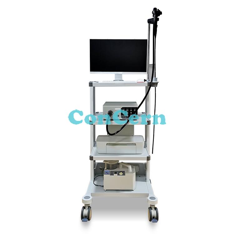 CCNJ-100VETHD Veterinary Endoscope Gastroscope Video Center Video Flexible Colonoscope Endoscopes CCNJ-100VET